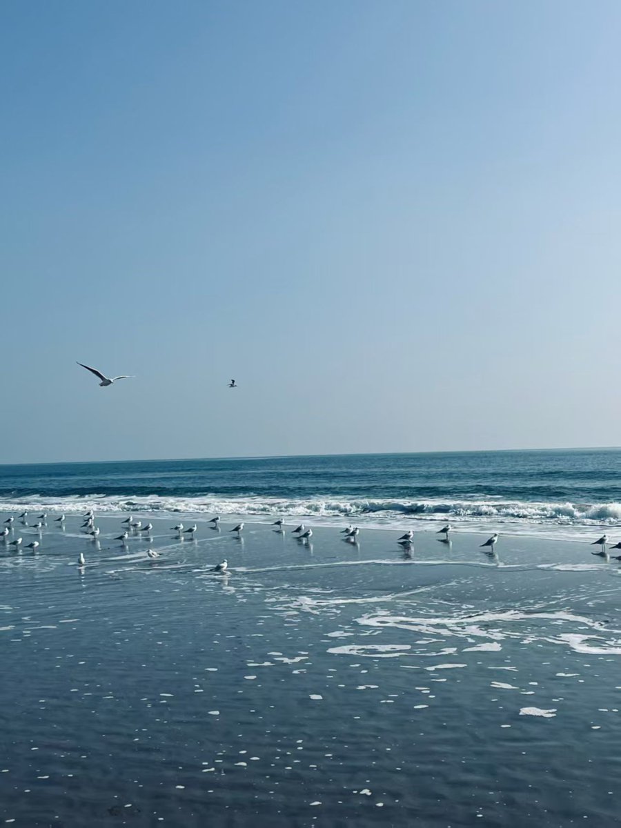 zhang yan(互FO) tweet media