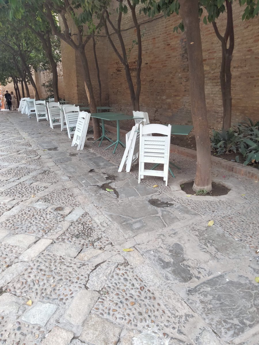 Pl.Alianza, hace un rato, como  todos dias. ¿Esto tiene licencia?<a href="/SevillaSeMuere/">Sevilla💀 Se Muere</a> <a href="/Sevilla_Dor/">Sevilla D'Or Ciudad del Velador</a> <a href="/acomosi/">Acomosi</a> <a href="/AmparoGraciani/">Amparo Graciani</a> <a href="/DavidLp32705032/">David López</a>