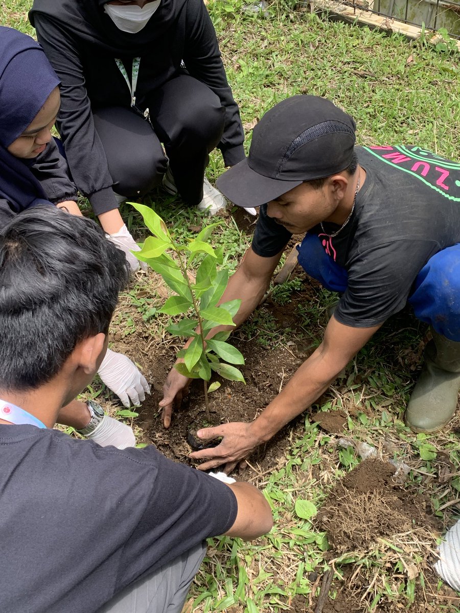 shaciologic's tweet image. fh menyala lagie💚