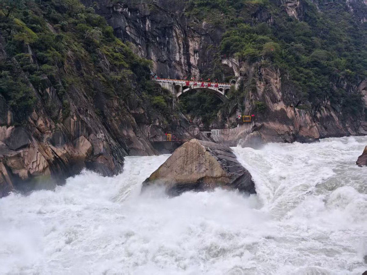 zhang yan(互FO) tweet media