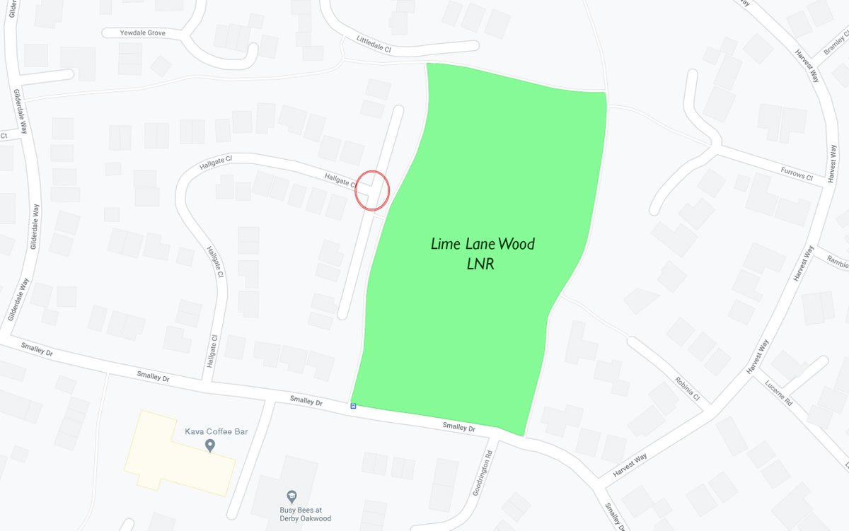 Our next Task Event will be on Saturday 1 November 10.00 - 12.00 noon, at Lime Lane LNR. We will meet at the Lime Lane entrance, just up from the shops. Please wear appropriate footwear &amp; clothing and bring gardening gloves if you have them. <a href="/derby_parks/">Derby Parks</a> <a href="/oakwoodderby/">Oakwood Derby</a>