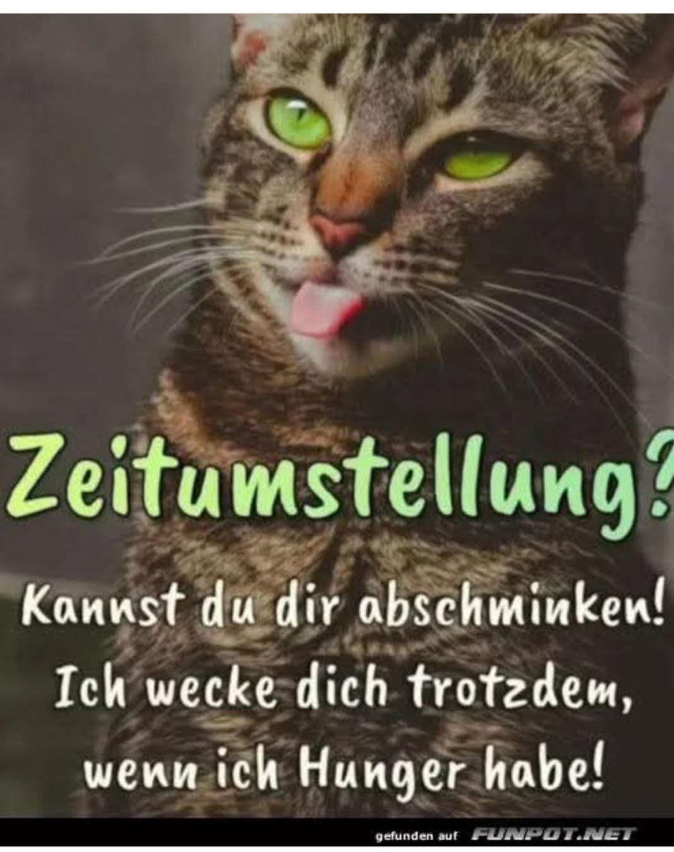 SimpleBasicFact's tweet image. 😼🩵