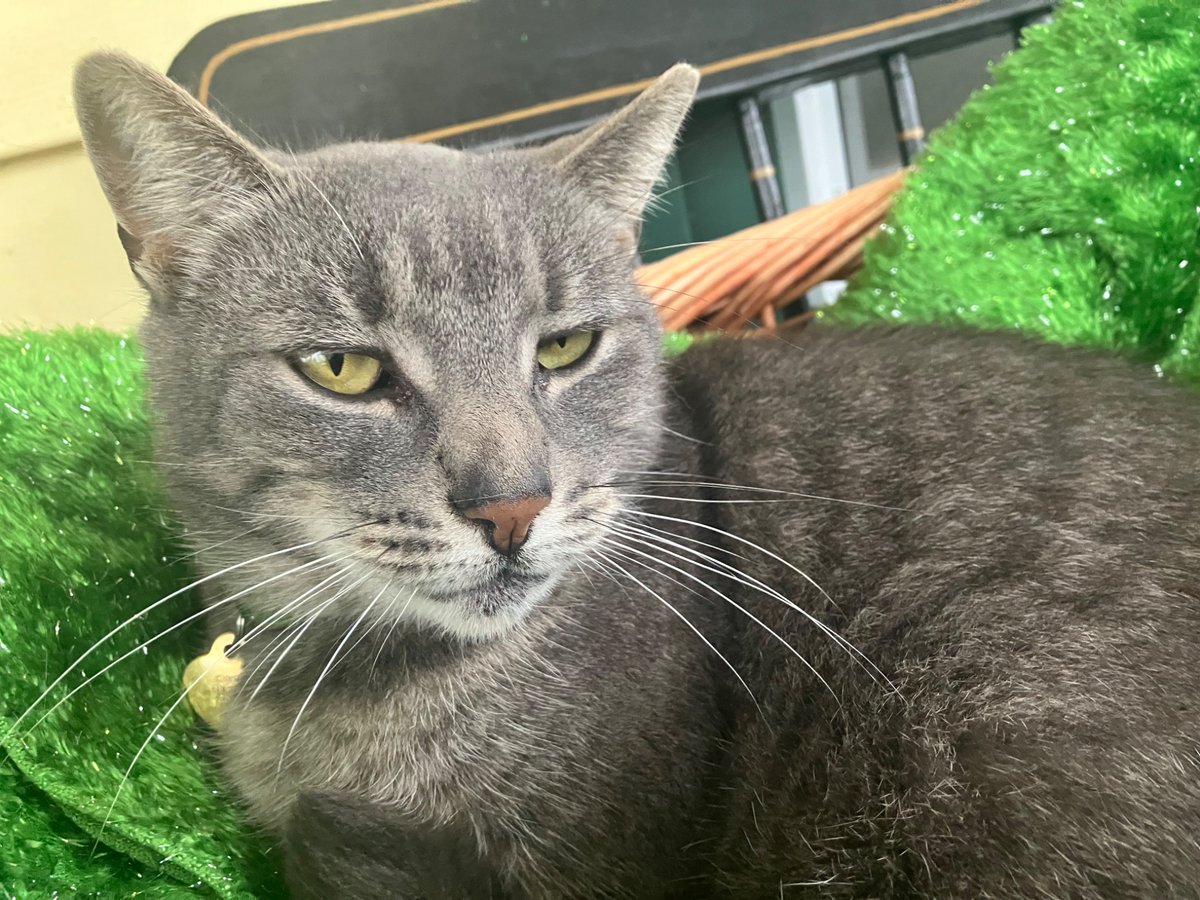 TheWerdup's tweet image. 