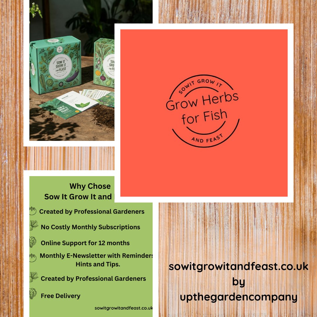 UpTheGardenCo's tweet photo. Sow It Grow It and Feast!
Grow Herbs for Fish
https://t.co/eH9AtXg2dE

#fishfeast #cookingfish #fishrecipes #herbsforfish #growyourown #growyourownfood #herbsforcooking #homecook #homegardener #begingardening #howtogarden #howtogrowherbs #gardenersworld #montydon https://t.co/QxdjQ7bRPR