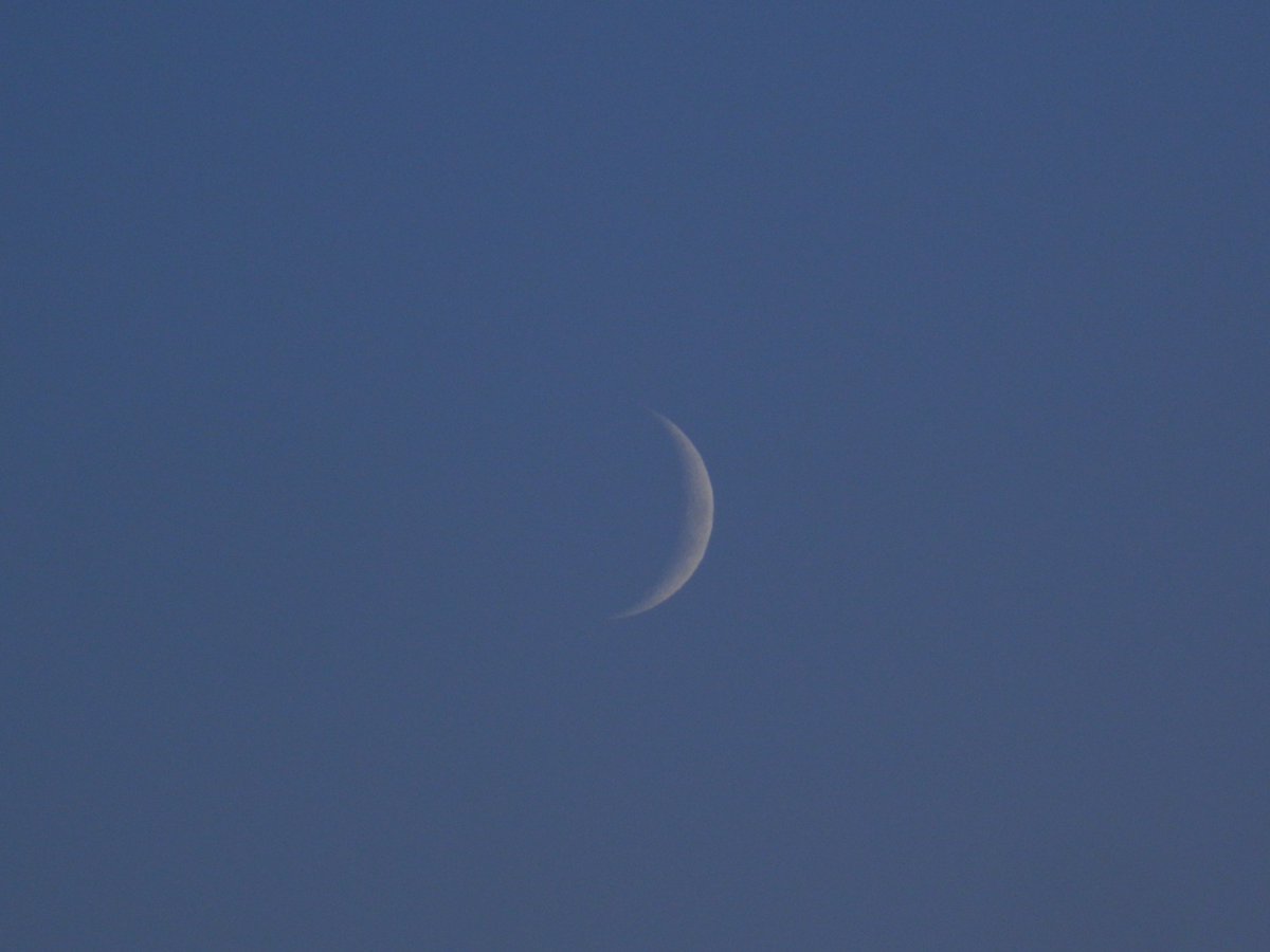 ghostyyaltair's tweet photo. Very thin beauty 🌙
#youngmoon #moon #AutumnVibes #Autumn #FallVibes #fall #photooftheday #photographer #photography #hobbyphotographer #ThePhotoHour #StormHour #nature https://t.co/NcCsvh46ti
