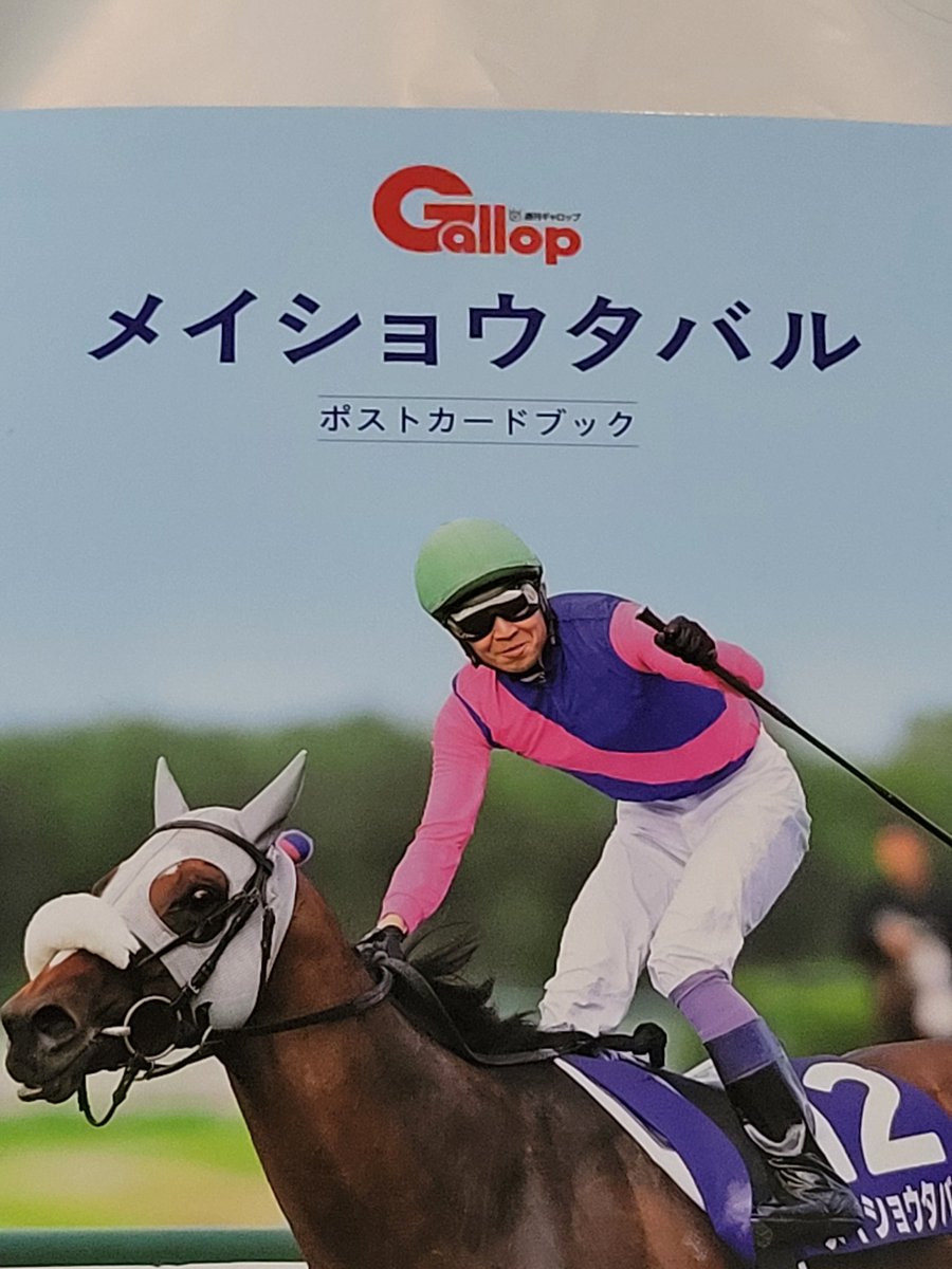 馬の画 紺@競馬 on X