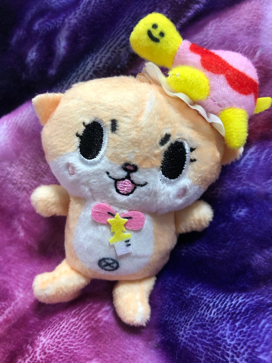 ちぃたん様の専用ページ Chiitan