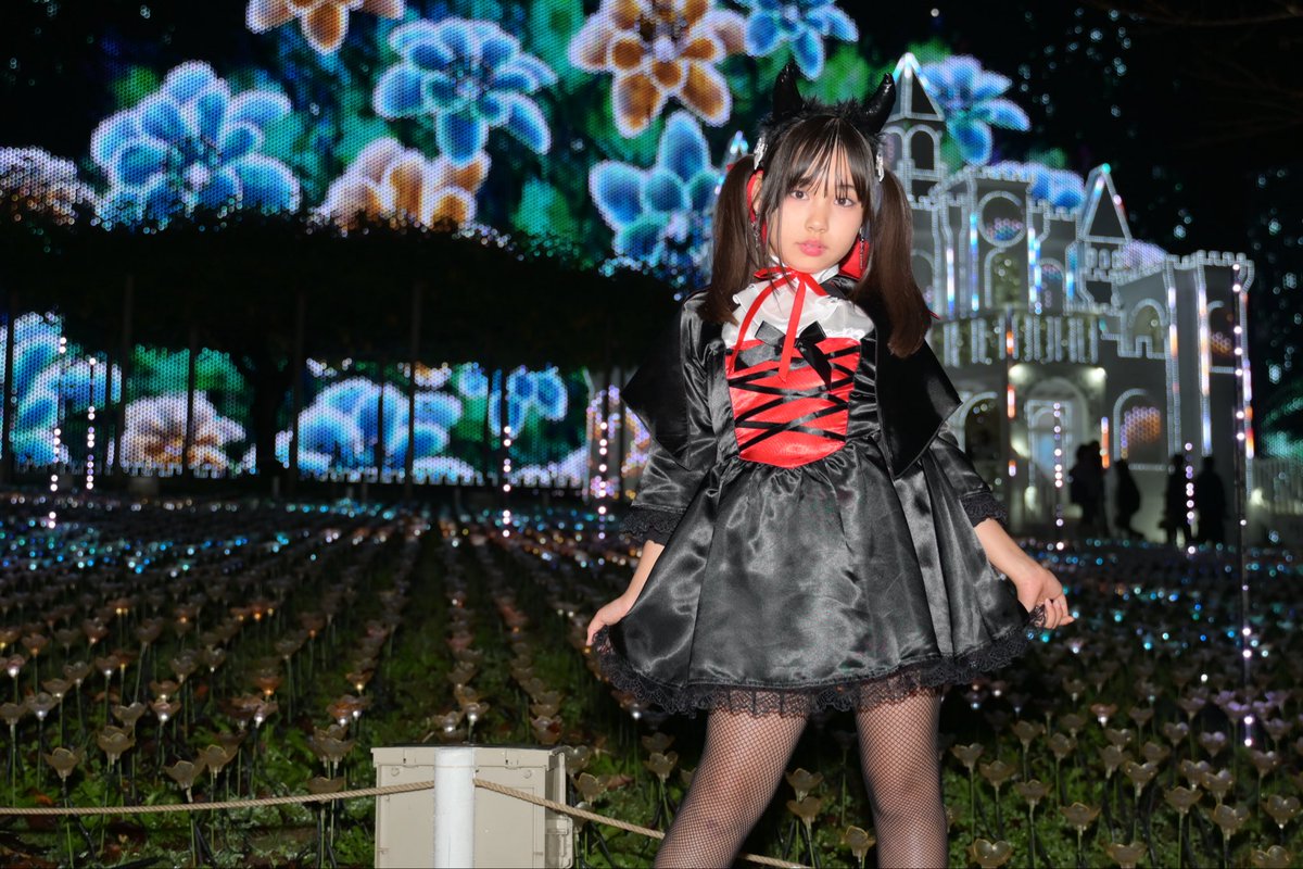 ✨しろくま2006様✨ しろくま on X