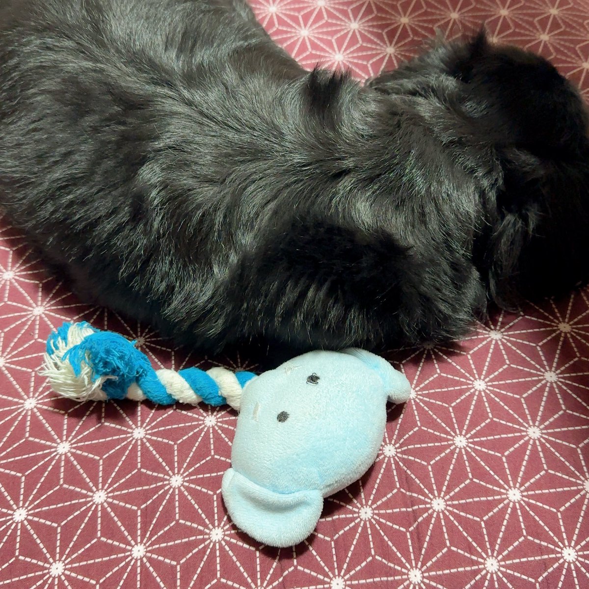 三角まる💜🎮Vstreamer on X