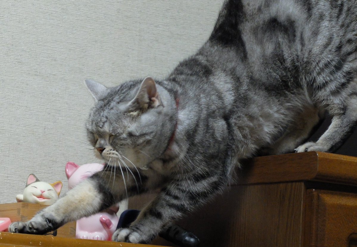 jr3rdh's tweet image. さあ、そろそろ寝るか、
おやすみなさい、良い夢を・・・。