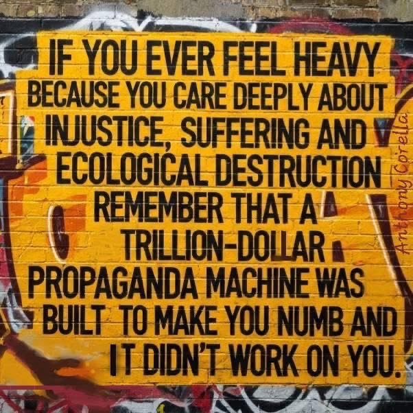 Jane from Rochdale 🍉 tweet media