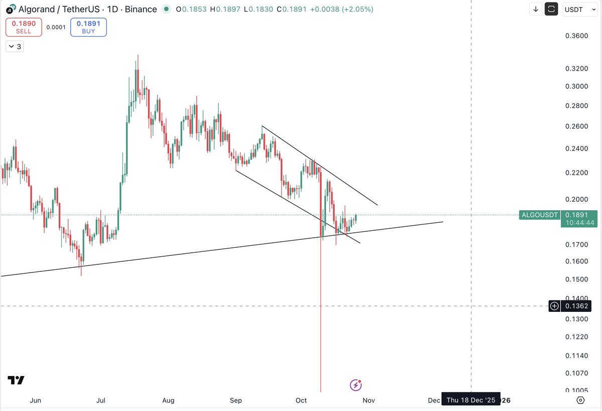 Thecryptomist's tweet image. $ALGO 
Added more #Algo here. 
In before green dildo 🚀