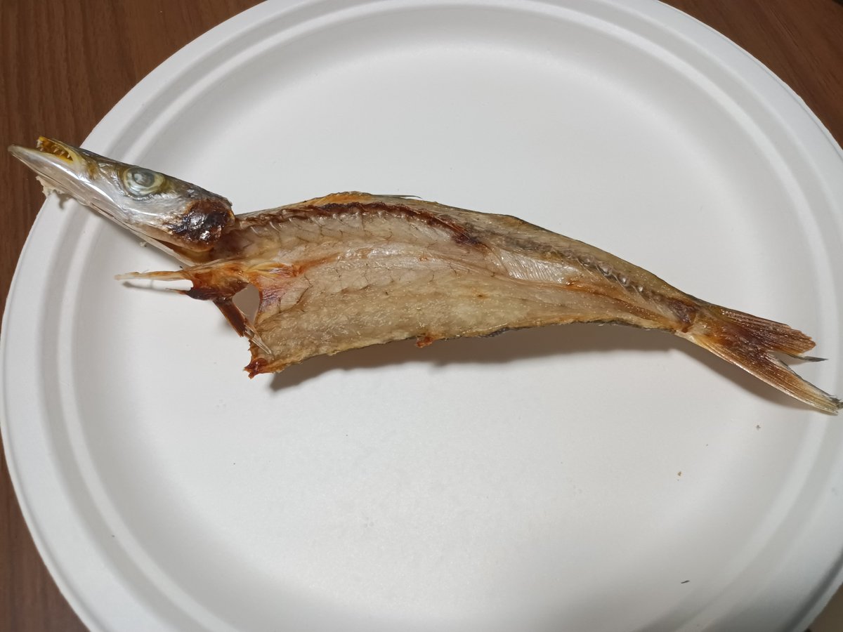 サーフで青物に遊んでもらう予定だったけどカマスの群れが入っていた様子
珍しくお天気も良かったのでこの間のイカと一緒に天日干しして塩焼きに🐟