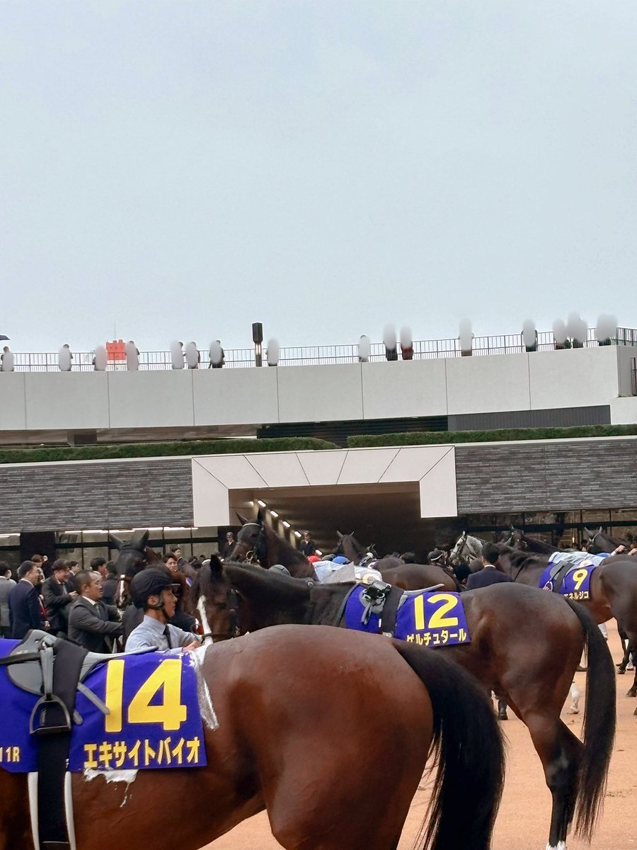 お尻がいっぱい