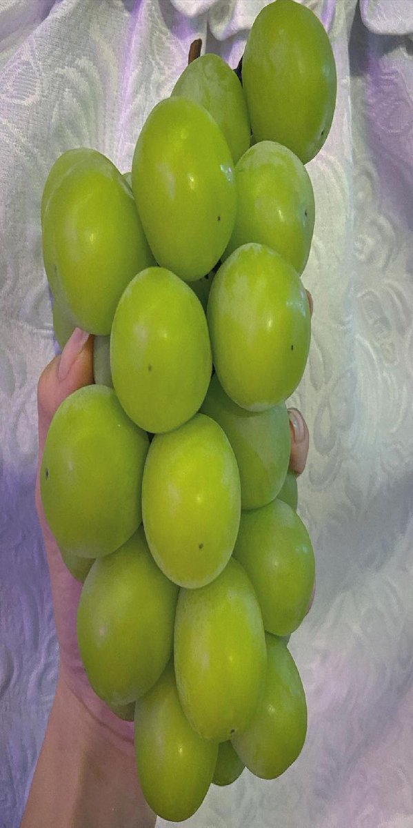 Carl Bosworth tweet media