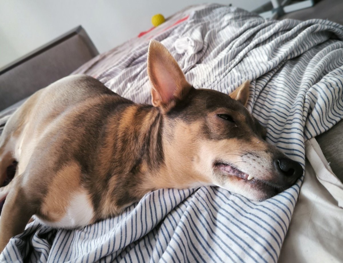 Как мы спим в 13 часов утра воскресенья