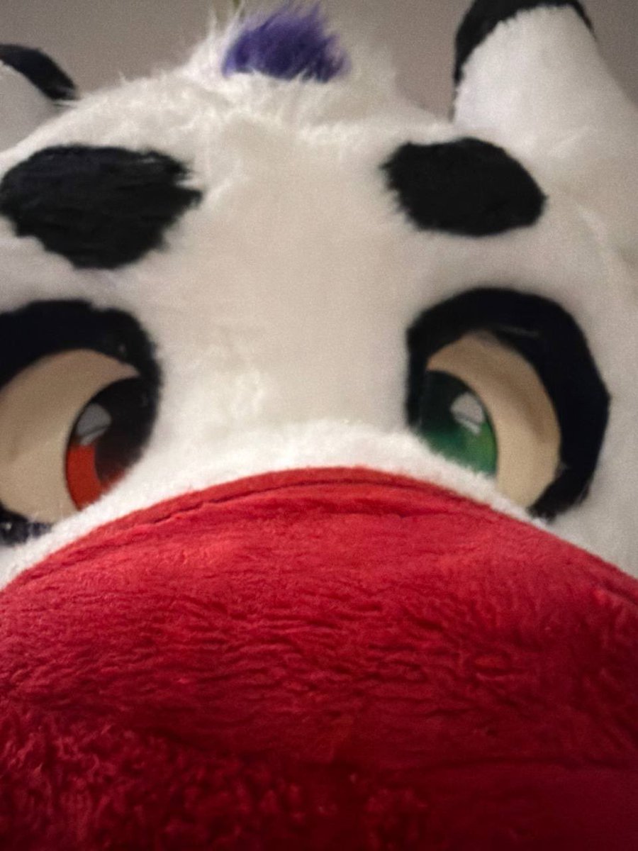 ThreadGhoul's tweet image. Welcome Jego!
I have been working a lot on this project and it has been a great learning process and i feel happy about it, but i know i can keep working to be better, thank you to all of you, for your  support and encouraging words.

#fursuitmaker #fursuit #furs