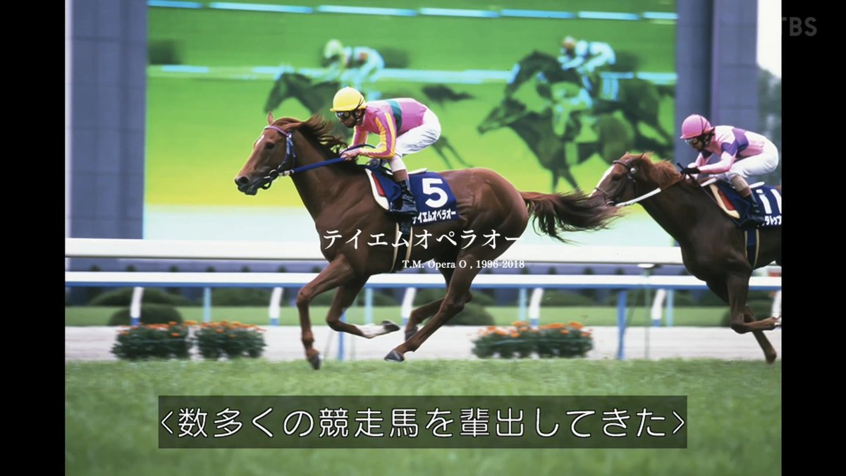 まり⚓️ (@ammari241) / Posts / X