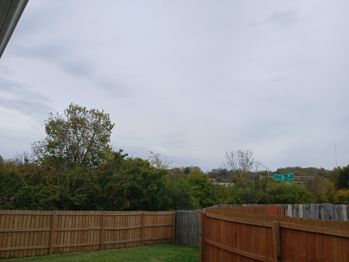 Hoodbilly_Rolla's tweet image. Got a couple of tenderloins for the smoker, on this dreary fall morning.