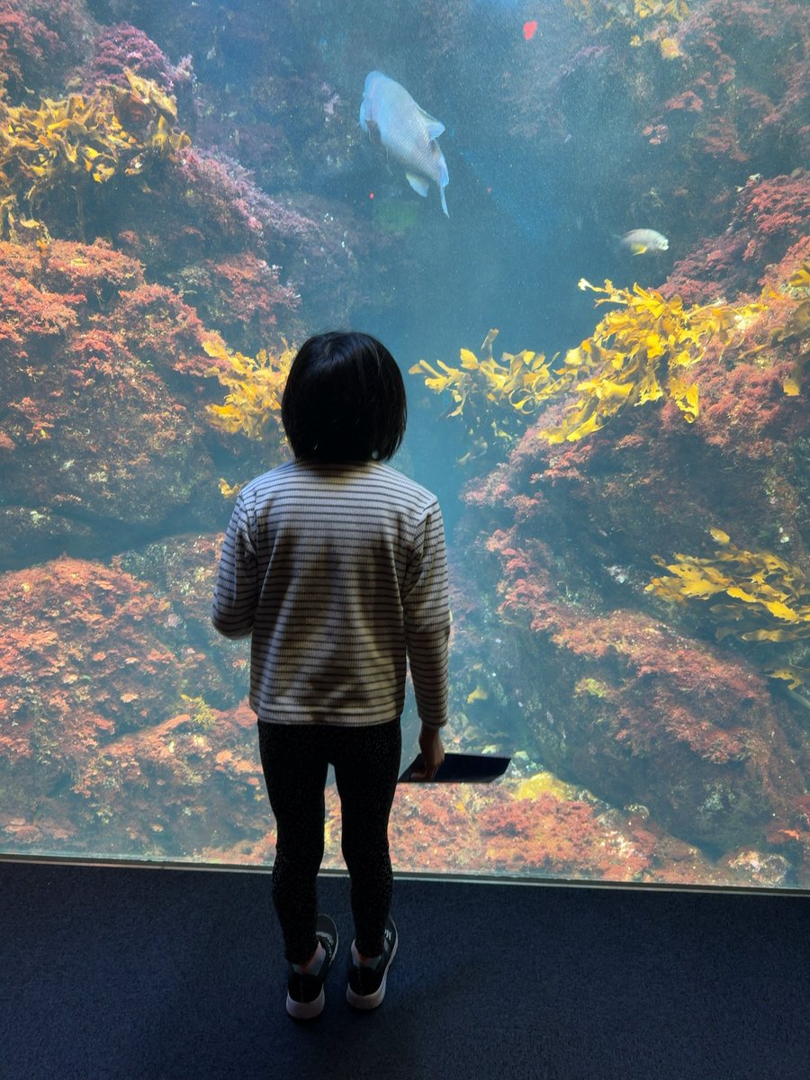 ともこさん 超探偵事件簿 レインコード オレ様ちゃんはお嫁さん!?』アクリル