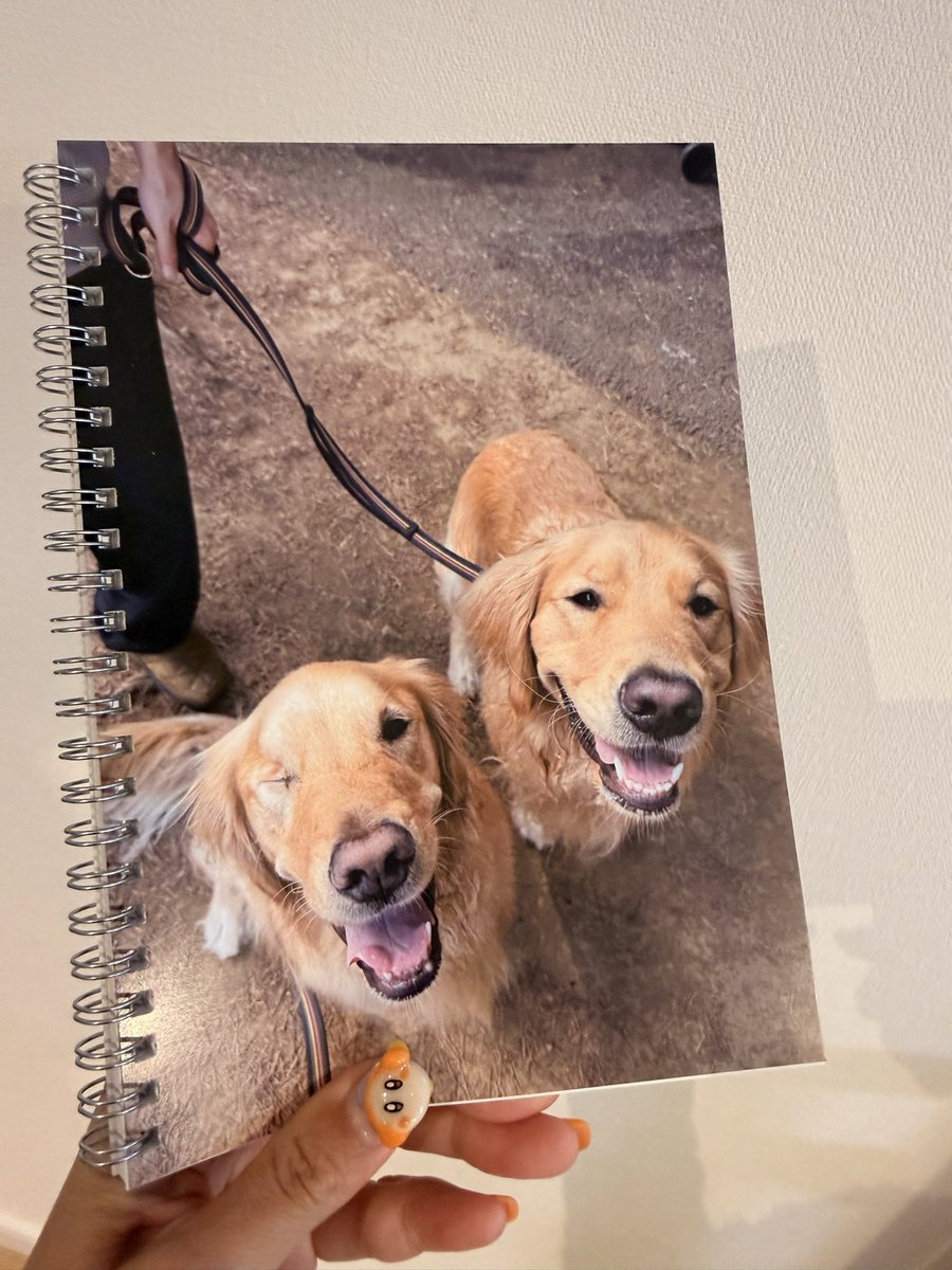 むぎ。(感謝) 感謝 麦焼酎 720ml ありがとう ギフト 誕生日祝い 退職祝い