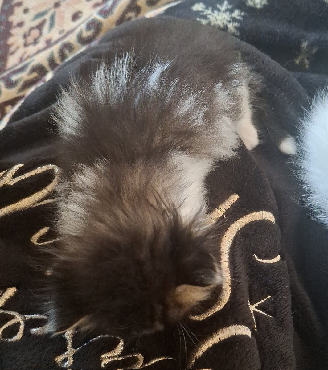 osurdu ve promosyon olrk sicti da biraz ishal ama gececek. uyuyo simdi😇😇