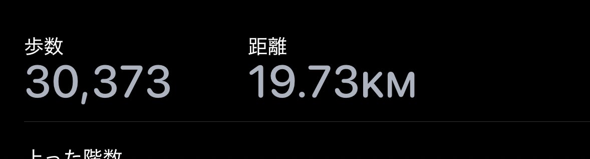 インドア派久々にたくさん歩いた