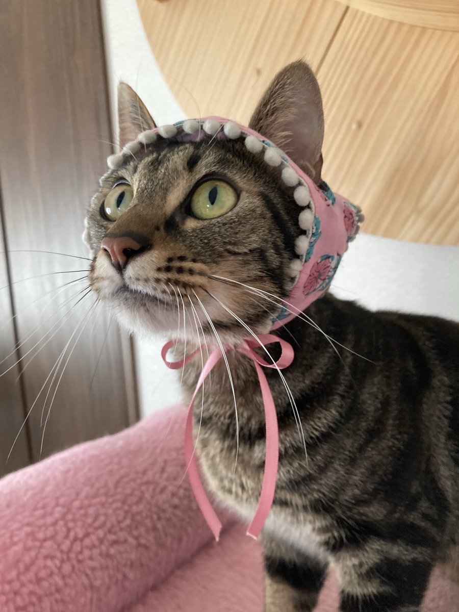 ポッポ※自己紹介お読みください様おまとめ Go-0b6IbcAA5k7x.jpg