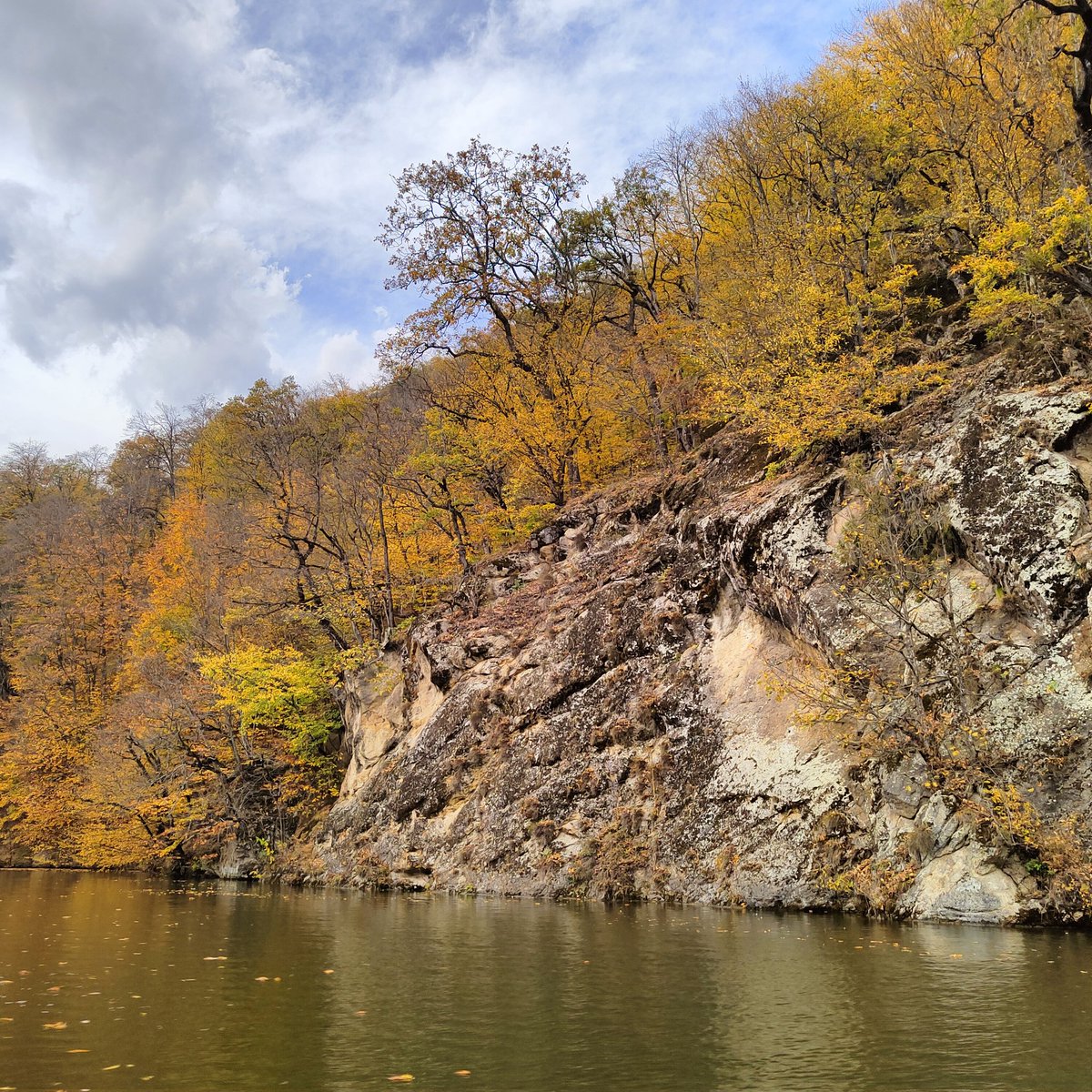 painterargon's tweet image. GM #NFTCommunity ❤️🥰

I wish everyone a wonderful Sunday!
I&apos;m in nature, far from the hustle and bustle of the city, where the soul merges with the eternal melody of life!