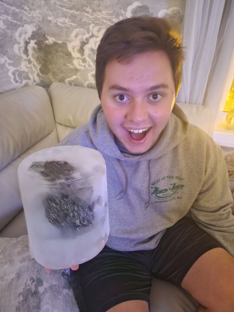 The_Redditor_66's tweet photo. @Cretaceous27738 Dead rat in ice block https://t.co/yPrxJNFkgF