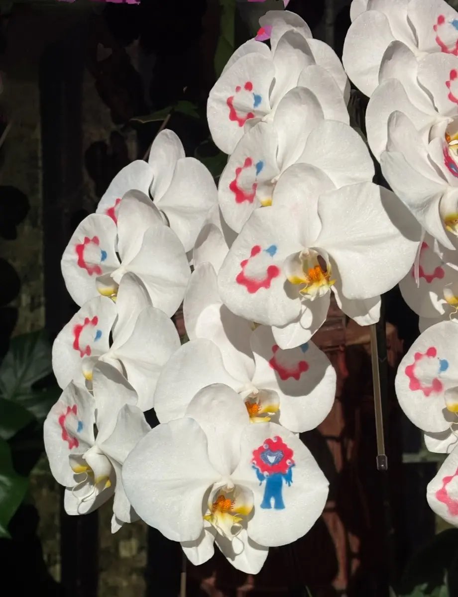 園芸研究家 富山昌克 on X