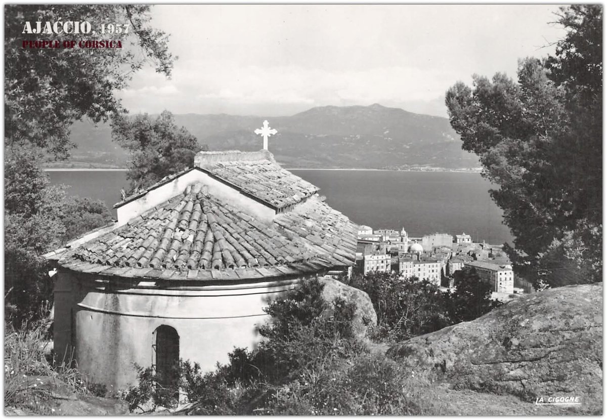 🅰️micacciu ☻️ (@amicacciu) on Twitter photo 