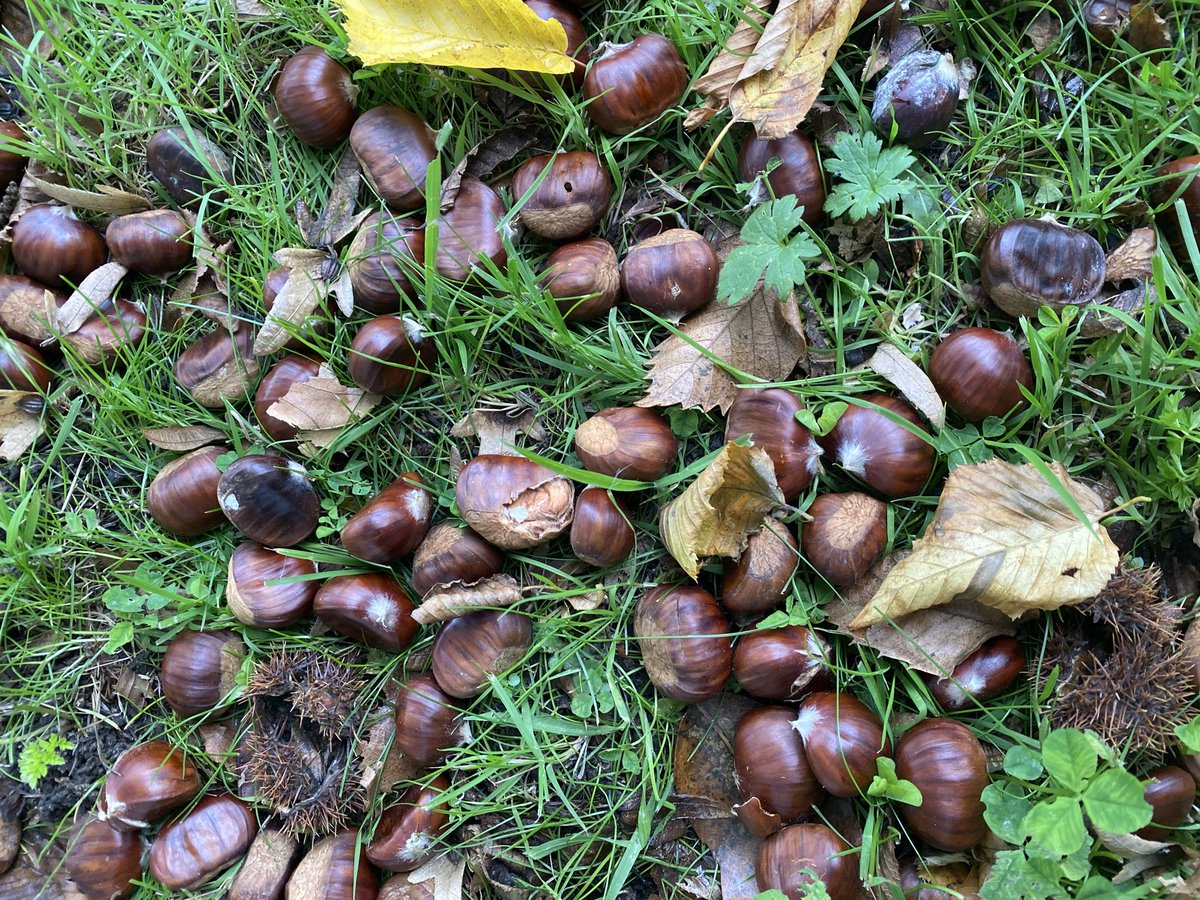 Sue Mayor tweet media