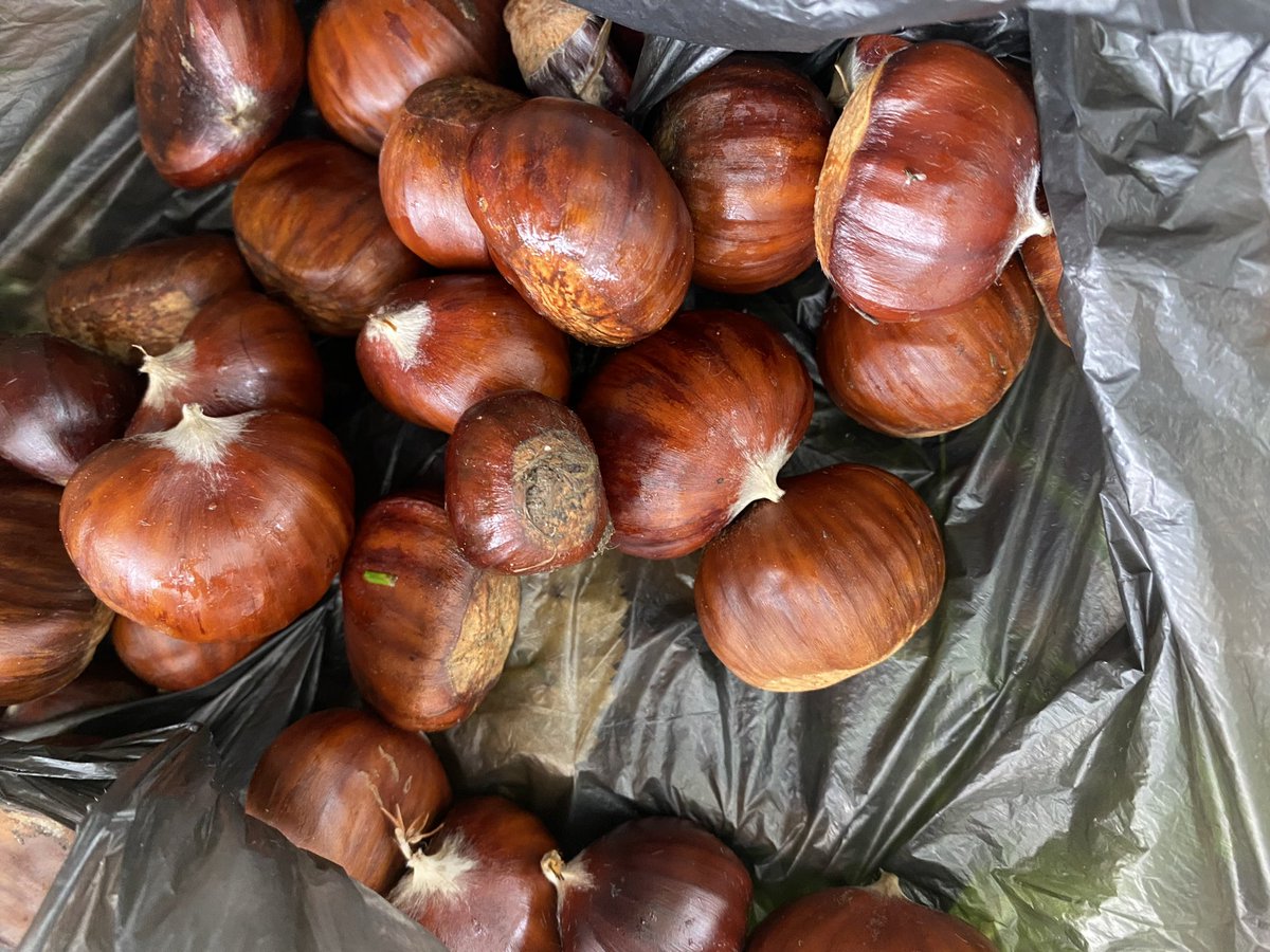 Sue Mayor tweet media