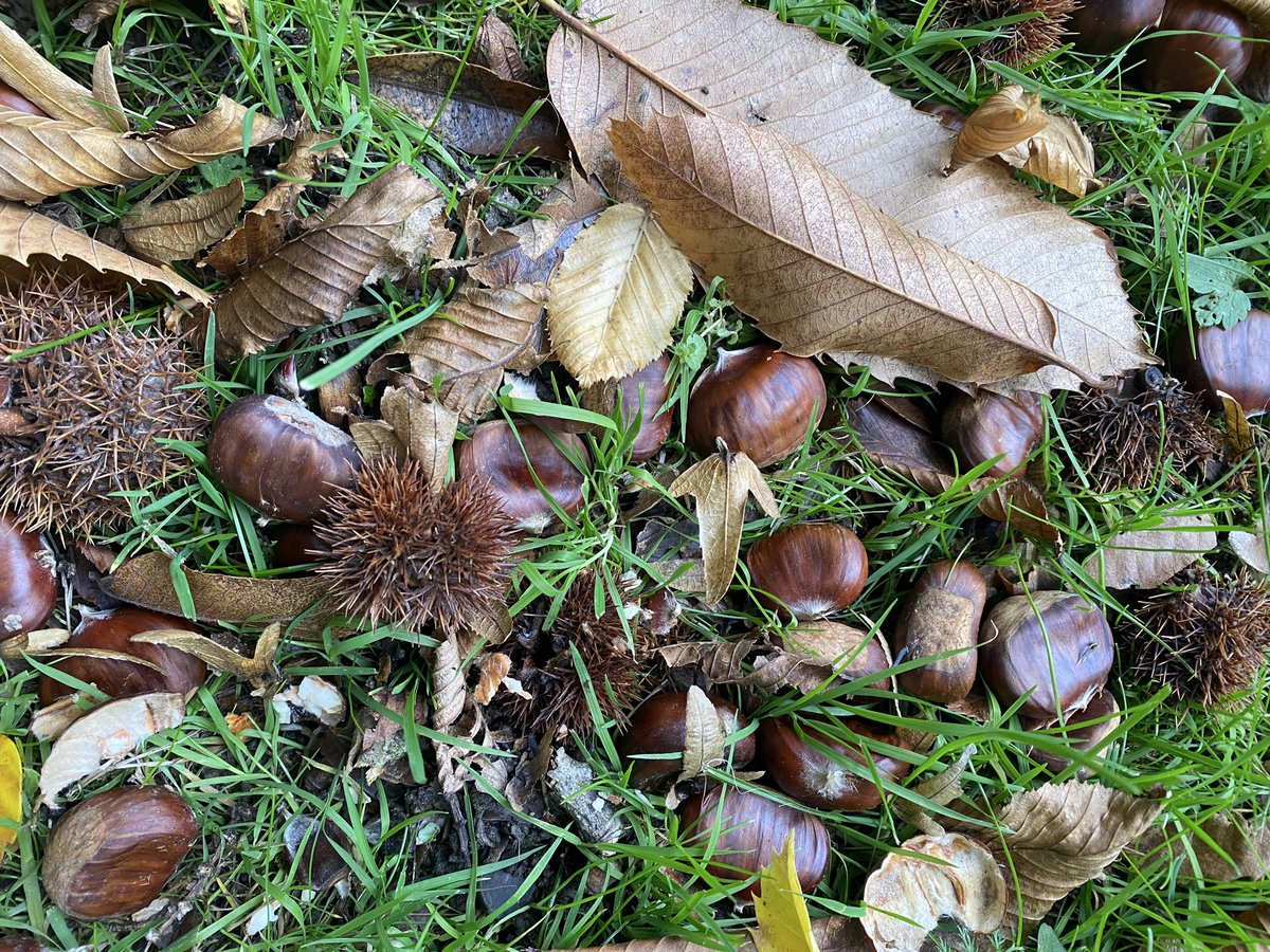 Sue Mayor tweet media