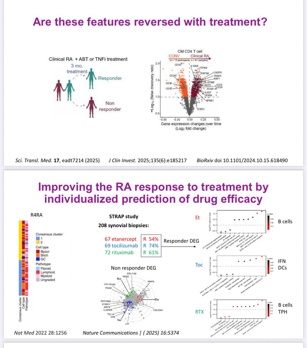 RoxOsler's tweet image. #YearinReview #ACR25 #BasicScience
🔹In ACPA+ individuals at risk of #RA, early immune activation includes effector and TFH T-cell expansion.
🧬 Epigenetic shifts in B and T cells precede clinical conversion.
💊 T-cell activation signature is reversed by abatacept, not by TNFi.