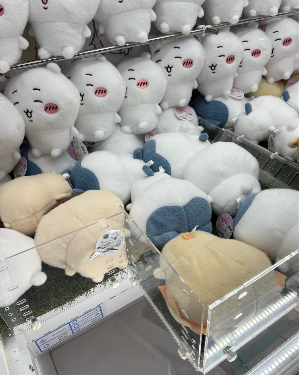 ちいもも❤︎ (@chichichimomo) / Posts / X