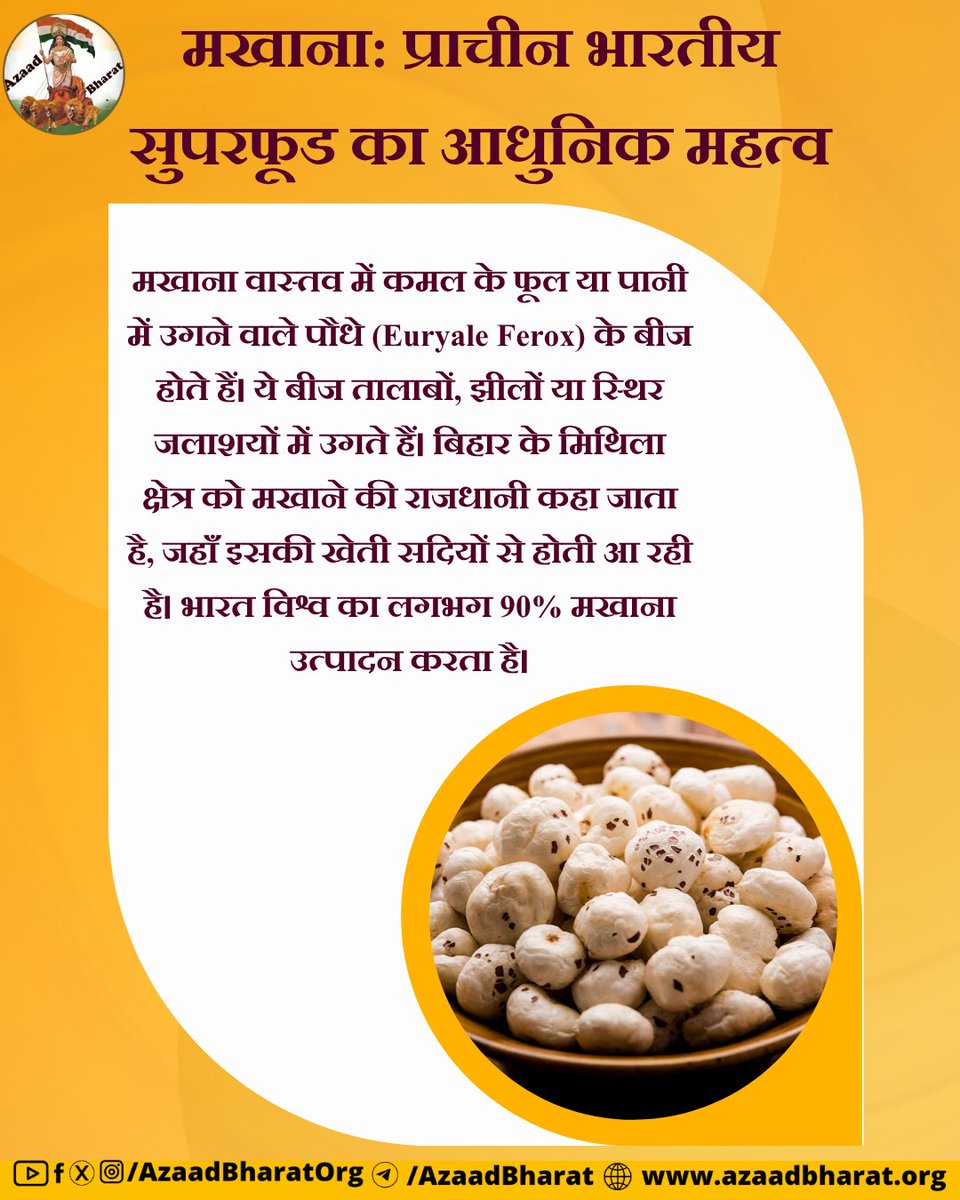 AzaadBharatOrg's tweet image. मखाना सिर्फ एक उपवास का अन्न नहीं, बल्कि भारत की जीवनशैली, संस्कृति और स्वास्थ्य परंपरा का हिस्सा है। यदि हम नियमित रूप से मखाने को अपने आहार में शामिल करें, तो यह आधुनिक जीवनशैली की बीमारियों मोटापा, डायबिटीज, तनाव से बचाव में प्राकृतिक कवच का काम करेगा।  azaadbharat.org/?p=13345