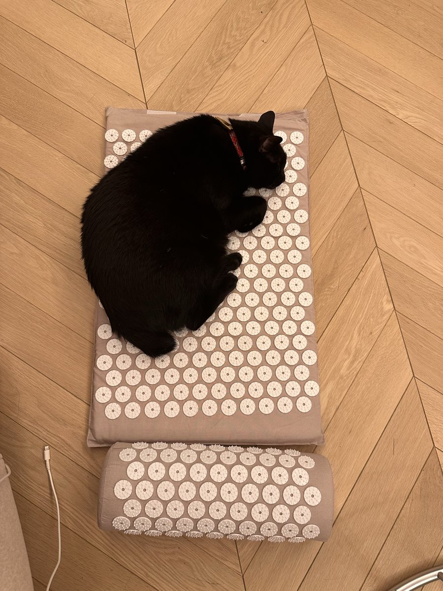 杉本恵📱9/21🌊東7A22b📱 (@1nose3sakixxx) / Posts / X