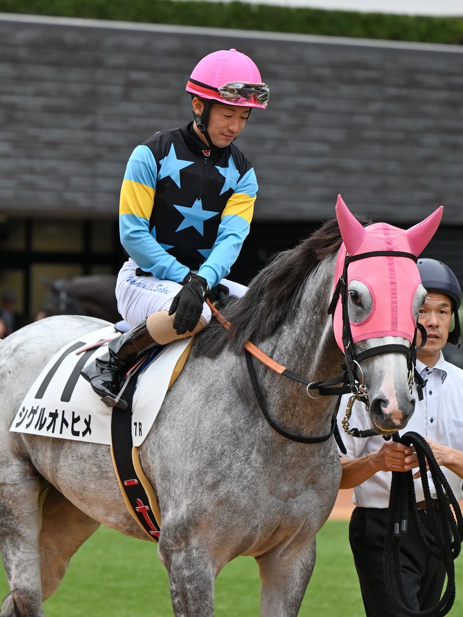 油絵　ゆ(o^^o)★確認　ベストフレンド馬と犬 油絵 ゆ(o^^o)☆確認 ベストフレンド馬と犬 油絵 ゆ(o^^o)☆確認