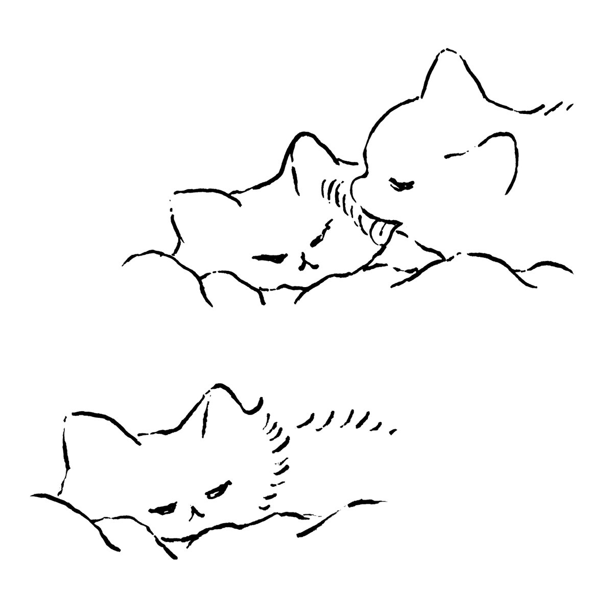 ねこ 
