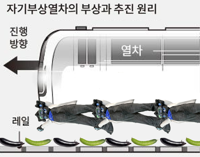 양상추 (@0sangchu) on Twitter photo 