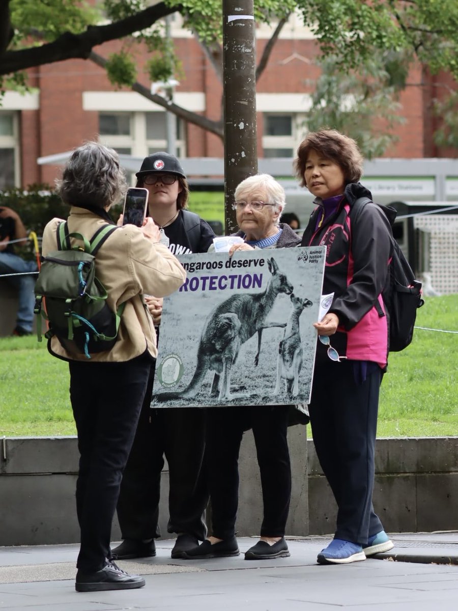 🦘🌟WORLD KANGAROO DAY!🌟🦘

Thank you to our #outreach champions &amp; our friends from <a href="/AJP_Victoria/">Animal Justice Party Victoria</a> &amp; SKOMP for spending #WorldKangarooDay raising awareness about #kangaroo persecution &amp; exploitation.

Images ©️Steve Bacon.

#communityaction #stopkillingkangaroos #endwildlifetrade