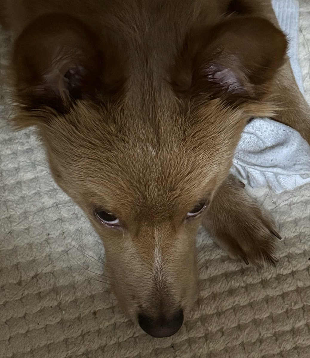 눈 똑바로 뜨도록
다 널 사랑해서 한거야