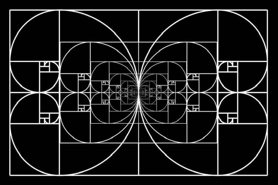 Enlightenment 🧘🏻‍♂️☮️🌍 tweet media