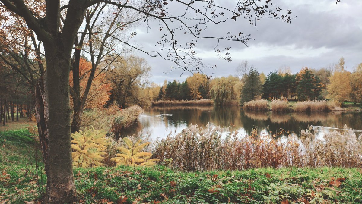 "Jesień to drugie wiosna, kiedy każdy liść jest kwiatem." 🍁

– Albert Camus

#spacer

youtu.be/uQGkzqtQiOI?si…