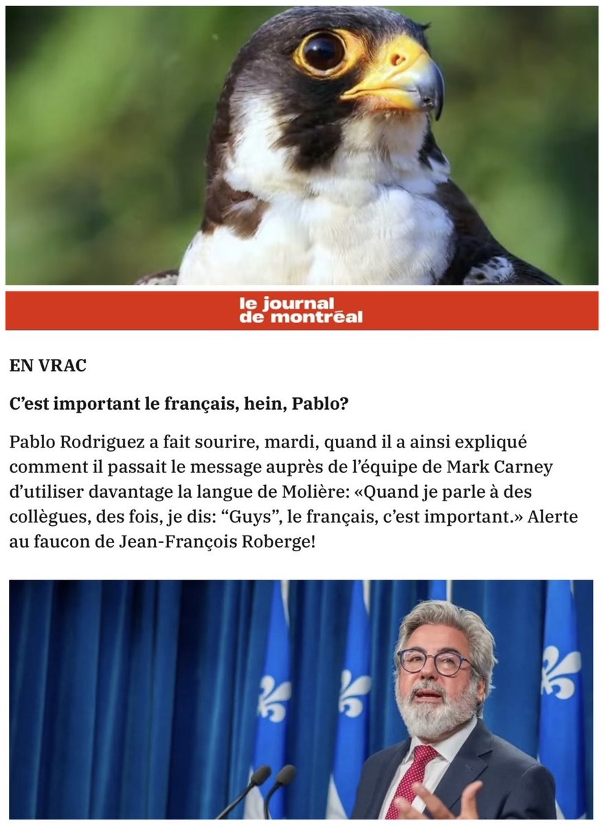 jfrobergeQc's tweet photo. 🦅👀 
@pablorodriguez https://t.co/e61RKZsB99