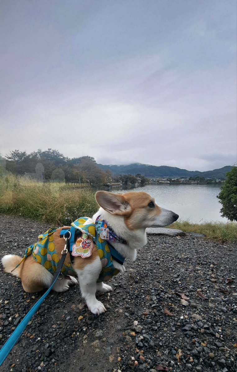 カズページ Amazon.com: Cylinman K-0648 Air Compressor Cylinder Comp