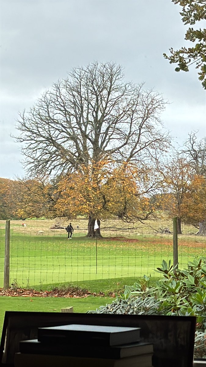 madsnq's tweet photo. Golf ;-) https://t.co/nckFsEOxmD