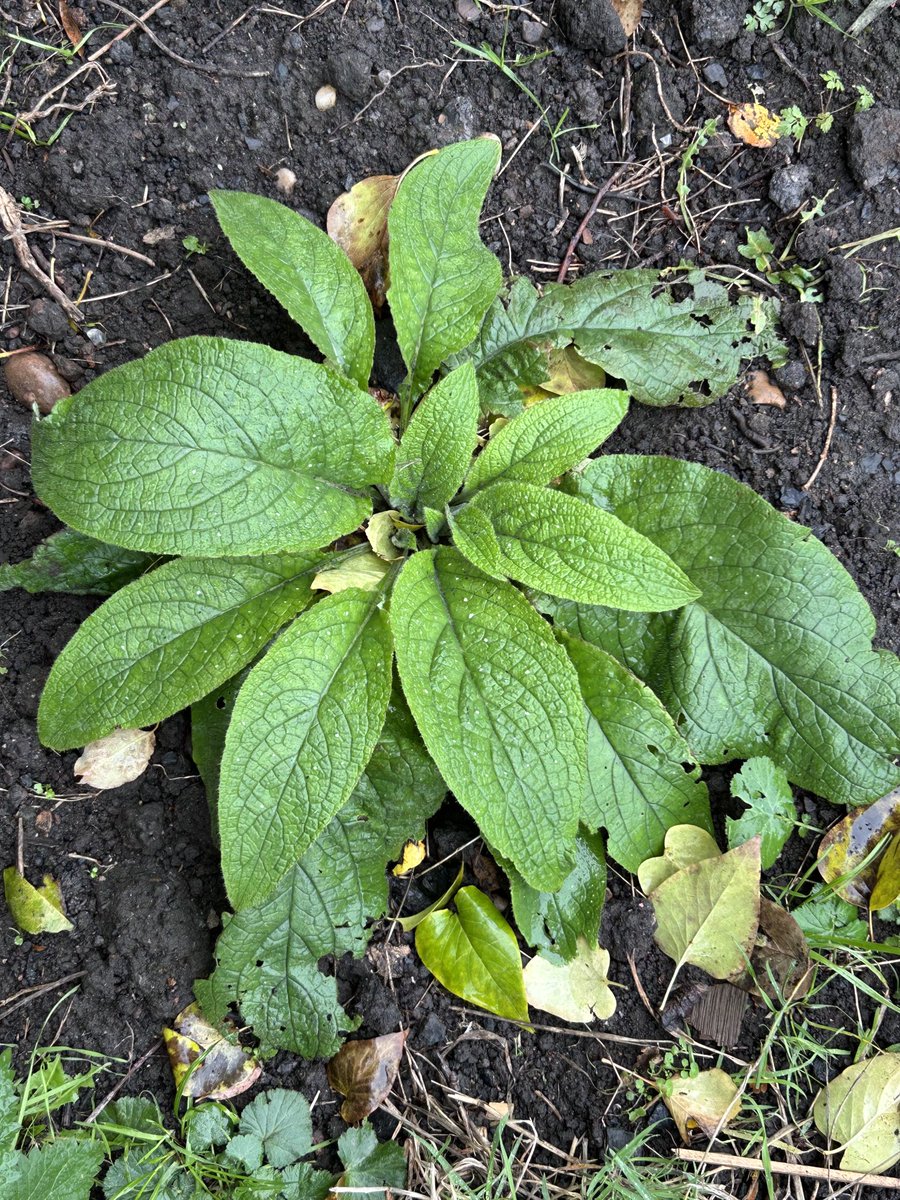 Kate Gordon tweet media